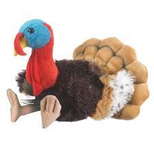 Pin On Birds