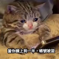 Explore tweets of h工口萝莉 @h15640963 on twitter. 20å¼µè¶…å¥½ç¬' åœèª² æ¢—åœ– å¿«ä¾†çœ‹çœ‹ç¶²å‹å€'çš„æžç¬'å‰µä½œ