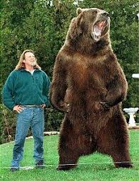 I am carrying 15 lbs of food with a bear canister as well (rmnp). Bart The Bear Wikipedia