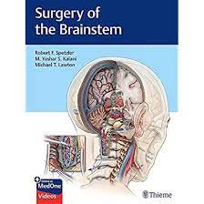 It's the wrong book it's the wrong edition other. New Book Surgery Of The Brainstem Neurosurgery