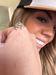 Guessing age of jumping spider?