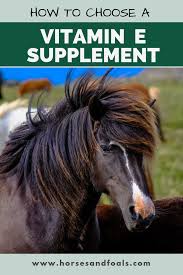 Check spelling or type a new query. Which Is The Best Vitamin E Supplement For Horses Horse Vitamins Horses Horse Care