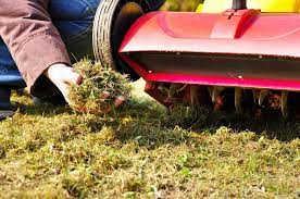 When is the best time to aerate and overseed your lawn? 7 Aeration And Overseeding Mistakes You Should Avoid
