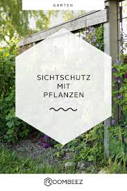 Sichtschutz Mit Pflanzen Balkon Terrasse Garten Otto Sichtschutz Pflanzen Pflanzen Sichtschutz Garten