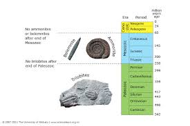 Using Index Fossils Science Learning Hub