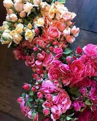 Pin On Garden Roses