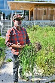 It's what was here": A prairie garden grows near downtown Austin