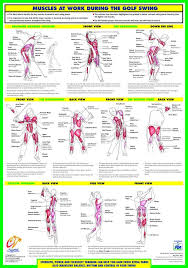 Golf Swing Training Chart Golf Tips Golf Tips Driving