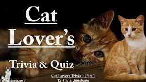 Have fun making trivia questions about swimming and swimmers. Cat Lovers Trivia Quiz 1 Youtube