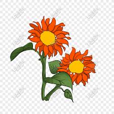 Bunga matahari atau biasa disebut sunflower tidak hanya memiliki bentuk mirip dengan matahari, tetapi pertumbuhannya juga sangat bergantung pada intensitas sinar matahari. Ilustrasi Bunga Matahari Kuning Png Grafik Gambar Unduh Gratis Lovepik
