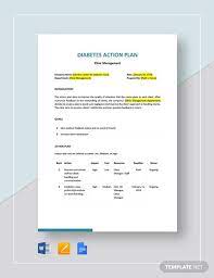 3 kempf, k et al (2017) diabetes care; 14 Diabetes Action Plan Templates Pdf Word Free Premium Templates