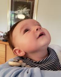 The Schmidt/Fehr/Kallemeier/Brinkmann Family Genealogy