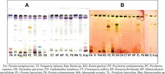 Image result for Keetia gueinzii