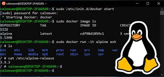 Microsoft Becomes Master of Its Own Linux Kernel | LinuxInsider