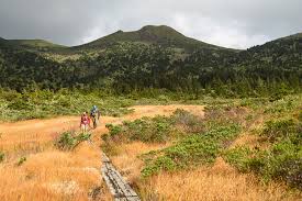 Image result for Hakkoda Walk