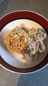 Who Thought Cereal Could Be Satisfying Vegetarian Cuisine Satisfying Cereal