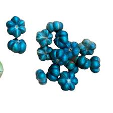 Image result for Margaritaria