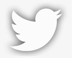 Find & download free graphic resources for twitter. Twitter Logo White Png Images Png Cliparts Free Download On Seekpng