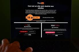 Las grandes webs de porno bloquean sus páginas en Francia para protestar  por la obligación de controlar la edad de acceso | Internacional
