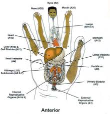 Wrapped Dreams Reflexology Therapy