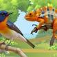 Feathers and Scales with the World Bird Sanctuary event image