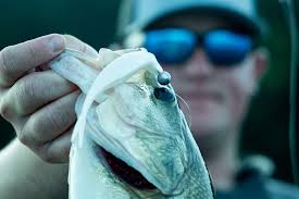 Pangrac Set to Join Blue Heron Communications