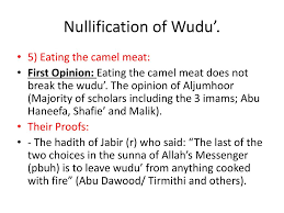 This is the opinion of jabir ibn samurah, one of the sahabah so, the prophet (peace be upon him) commanded performing wudu' after eating camel meat, and the basic principle in all commands is obligation. Ppt Fiqh Of Tahara 6 Powerpoint Presentation Free Download Id 7031231