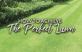 When to reseed lawn in missouri. How To Achieve The Perfect Lawn Hillier Garden Centres