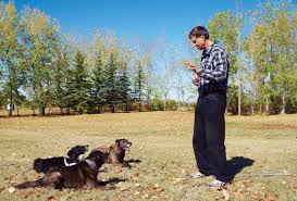 Considerations for an outside so although when home i'm vigilant and very actively house training my puppy to toilet outside, i also. Retired Calgary Police Service Officer And Dog Handler Jc St Louis Isn T Your Average Dog Trainer Avenue Calgary