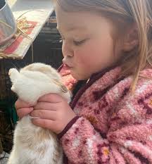 Mary Densmore (@bee_simple) • Fotos y videos de Instagram