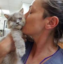 While the clock informed its hands. I call it the ivory wood, I can see her  tears, she's been quietly breaking for many years, there is a love that  lays in sleep,