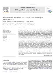 Image result for Sclerodactylon macrostachyum