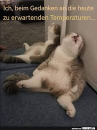 Maybe you would like to learn more about one of these? 100 Heiss Ideen In 2021 Hitze Lustig Lustige Bilder Gif Bilder Lustig