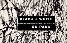 Black & White on Park