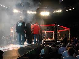 Caged Morality: Moral Worlds, Subculture, and Stratification Among  Middle-Class Cage-Fighters