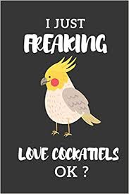 Cockatiels are seen inside their cage at the kamala nehru zoolgical garden in ahmedabad on january 3, 2009. I Just Freaking Love Cockatiels Ok Cockatiel Gifts Funny Cute Cockatiel Notebooks Cool Gift For Cockatiel Lover Kid Girl Or Child Lined 120 Pages 6x9 Soft Cover Matte Finish