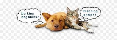 Pagesbusinesseslocal servicepet servicehappiest at home pet care services. Premier In Home Pet Care Services In Los Angeles Dog Walking And Sitting Free Transparent Png Clipart Images Download