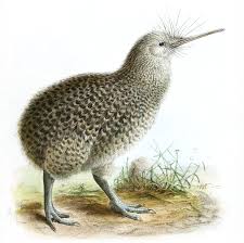 We did not find results for: Culture Of New Zealand Wikipedia