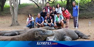 Yang aneh dari pipa baigong ini adalah umurnya yang sangat tua, diperkirakan sudah ada dari zaman batu. 8 Fakta Seputar Komodo Hewan Purba Yang Hanya Ada Di Indonesia Halaman All Kompas Com