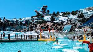 Tickets On Sale For Disney World S Blizzard Beach Water Park Reopening Travelpulse