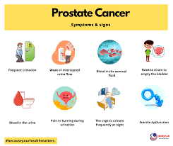 The cancer could only raise concern if the tumor happens to press on the urethra and cause changes to your urine flow. Prostate Cancer Symptoms And Signs Niruja Healthtech