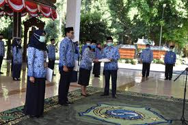 Kelola payroll & administrasi hr jadi lebih mudah. Pelantikan Pejabat Fungsional Di Masa Pandemi Covid 19 Berbeda