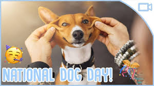 Many retailers are holding sales in celebration of the holiday for dogs. National Dog Day Youtube