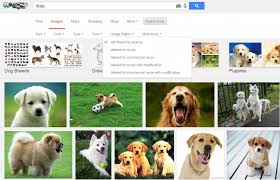 Nobody else has your voice. Google Images Usage Rights Boucher Co