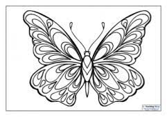 Printable mandala coloring pages for free. Mindfulness Colouring Images Animals Teaching Ideas