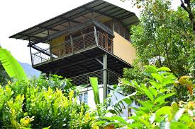 solitude munnar. cottage in munnar