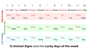 Chinese 12 Animal Signs And Their Lucky Time And Directions