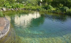 G Sonic 20 S Algenvernichter Fur Schwimmteiche Schwimmteich Pool Wasserfall Naturschwimmbader