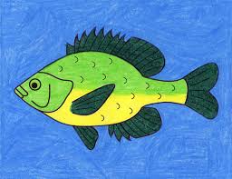 Today, austin and i are learning how to draw a blue tang saltwater fish! How To Draw A Fish Art Projects For Kids