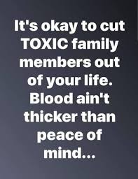 If you want more positive vibes, check out cheer up quotes and short funny quotes. My Daughter In Law Just Posted This On Facebook She S The Most Toxic Person I Know Toxic Family Members Law Quotes Daughter In Law Quotes